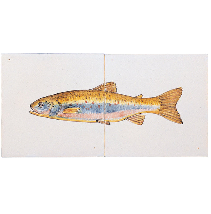 Vis Forel Kleur 130 x 260 x 8
