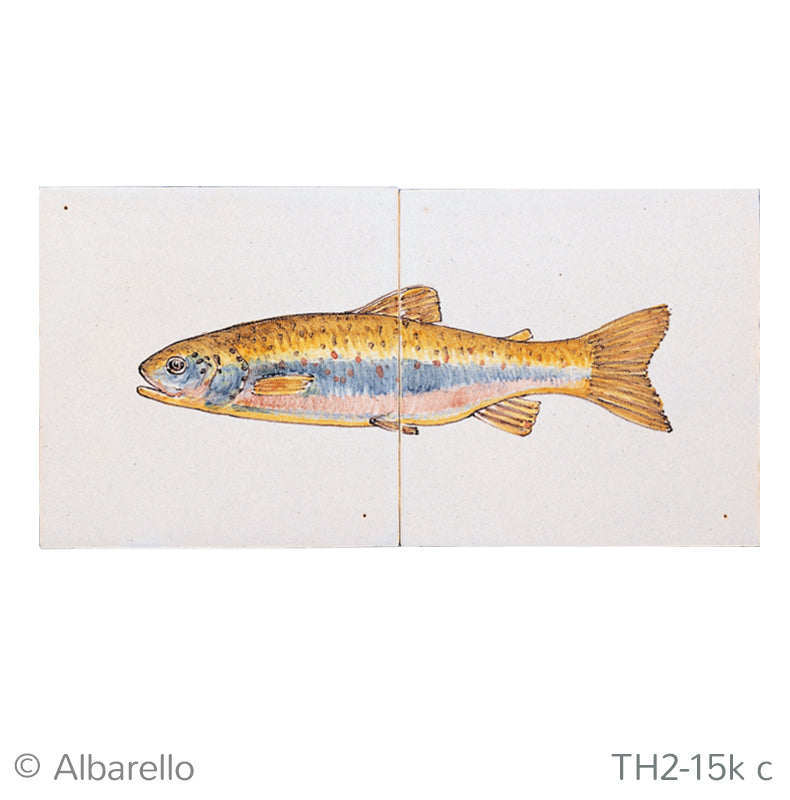 Vis Forel Kleur 130 x 260 x 8