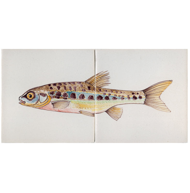 Vis Elrits Kleur 130 x 260 x 8