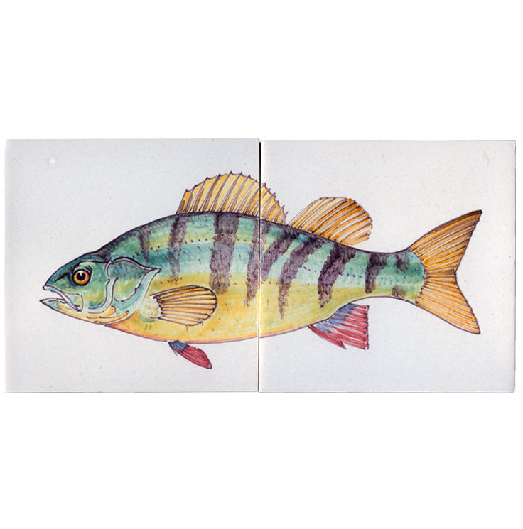 Vis Baars Kleur - 130 x 260 x 8