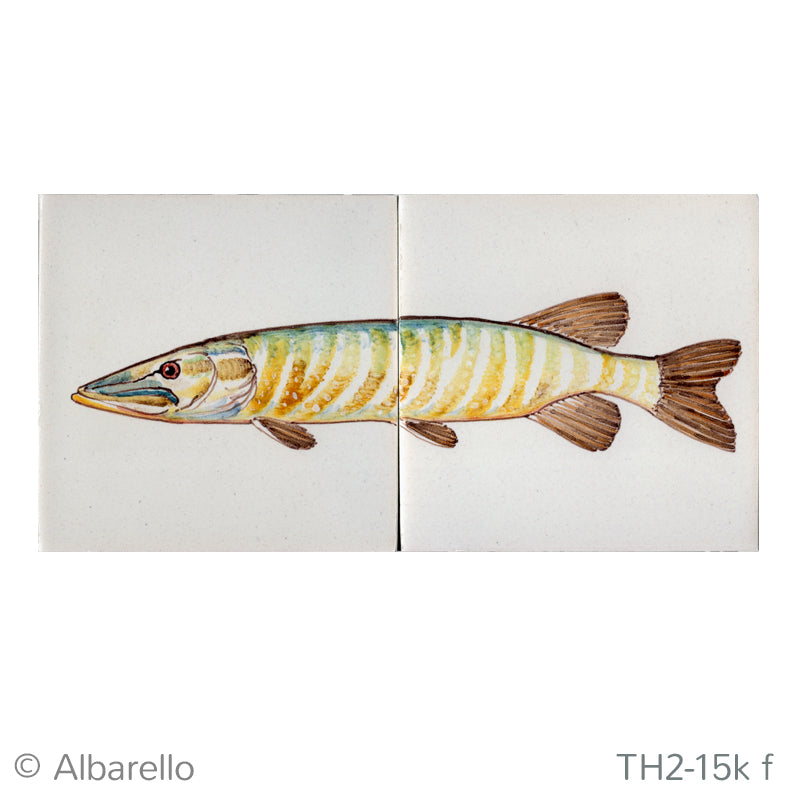 Vis Snoek Kleur 130 x 260 x 8
