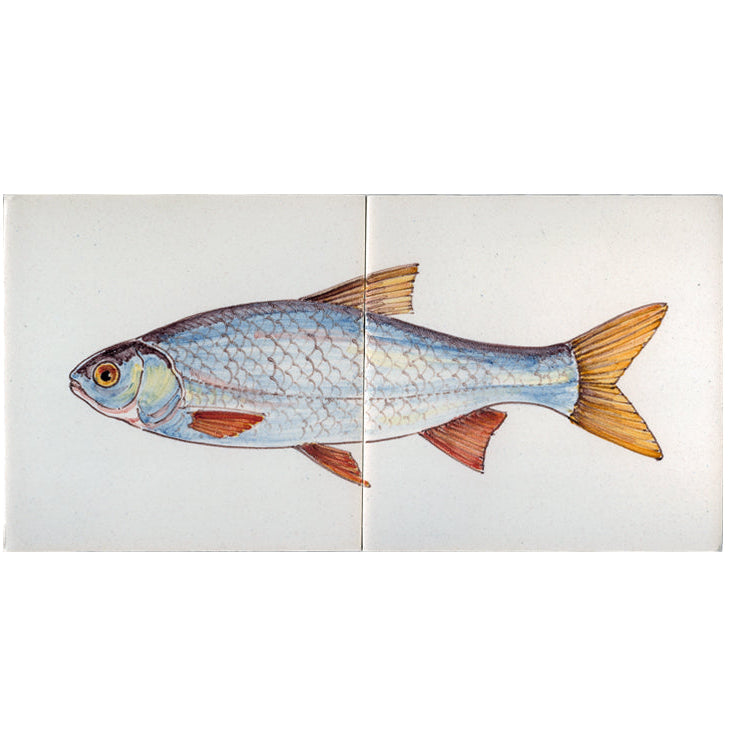 Vis Sneep Kleur 130 x 260 x 8
