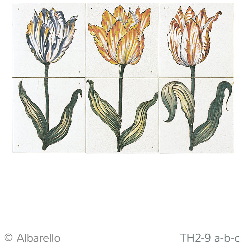 Tulpen 260 x 390 x 8