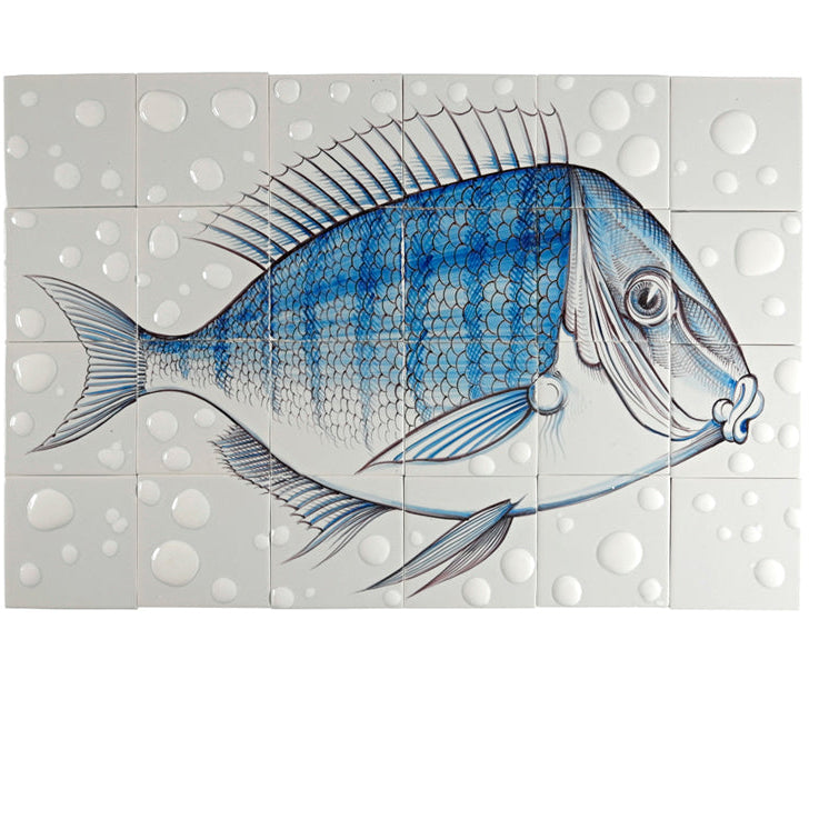 Fisk 10  - 520 x 780 x 8