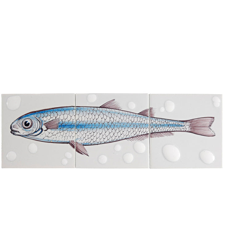 Fisk 9  - 130 x 390 x 8