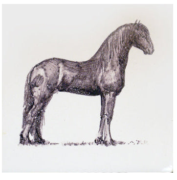Paard 1  - 130 x 130