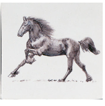 Paard 3  - 130 x 130