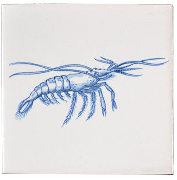 Schorpioen 130 x 130