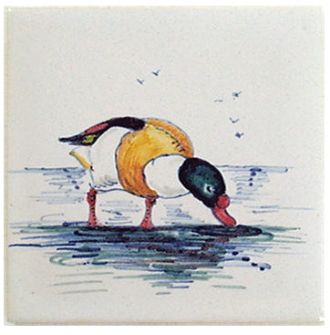 Watervogel 1 - 130 x 130