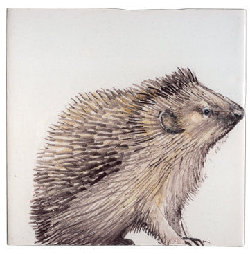 Egel 3 - 130 x 130