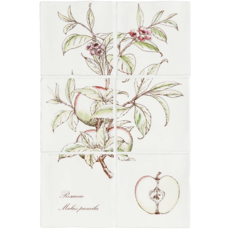 Apple 6 Tile Panel