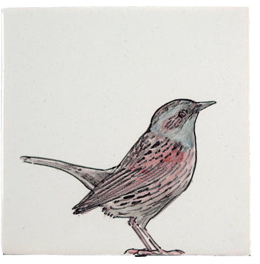Tuinvogel 2 - 130 x 130