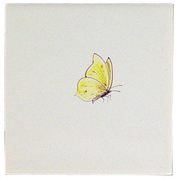Vlinder klein 2 - 130 x 130