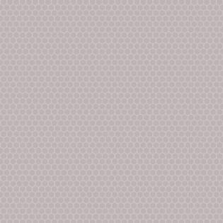 Winckelmans Hexagon 25 mm (op net 295 x 280 x 3,8)