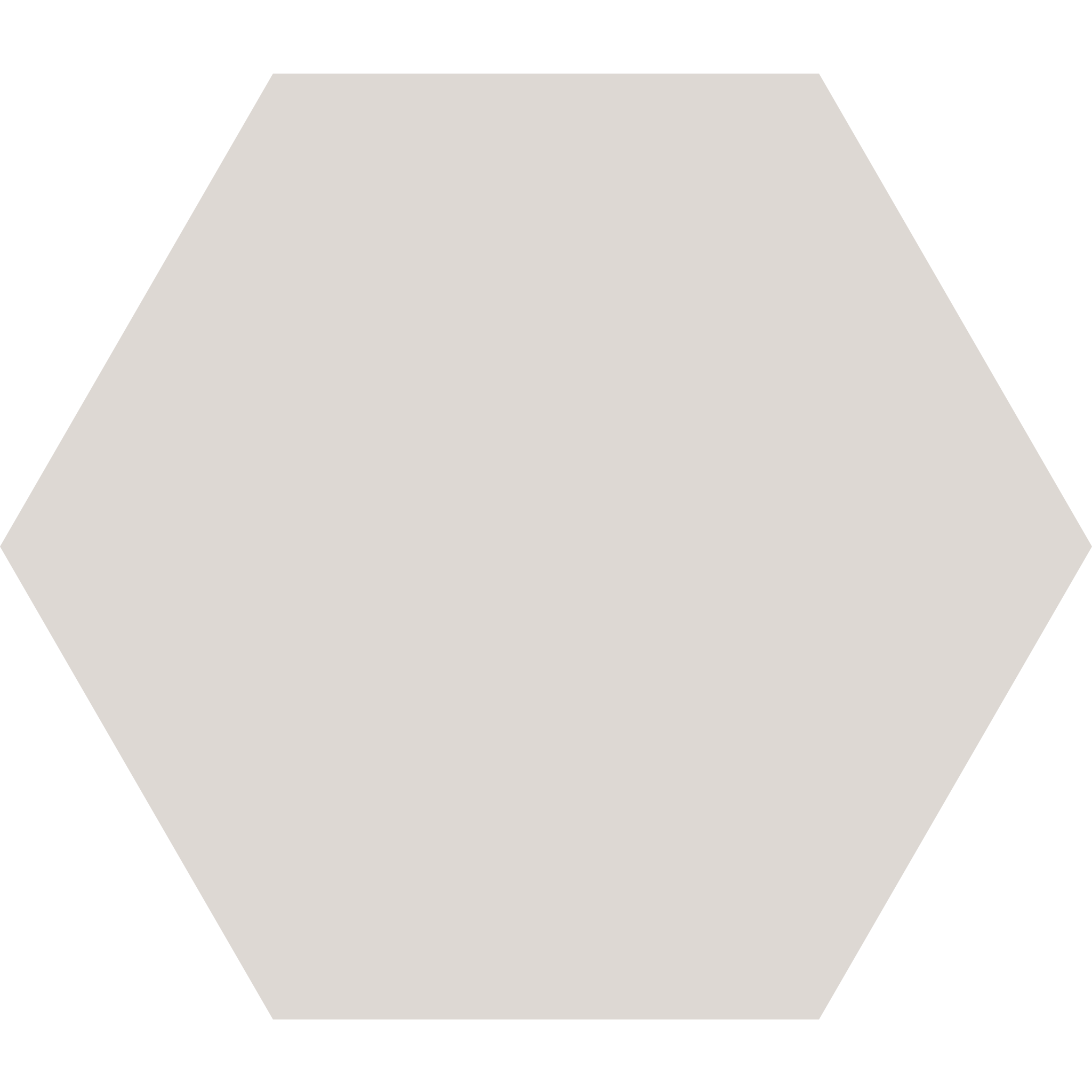 Winckelmans Hexagon 100 x 100
