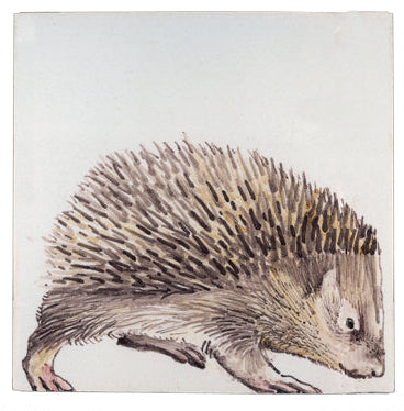 Egel 1 - 130 x 130