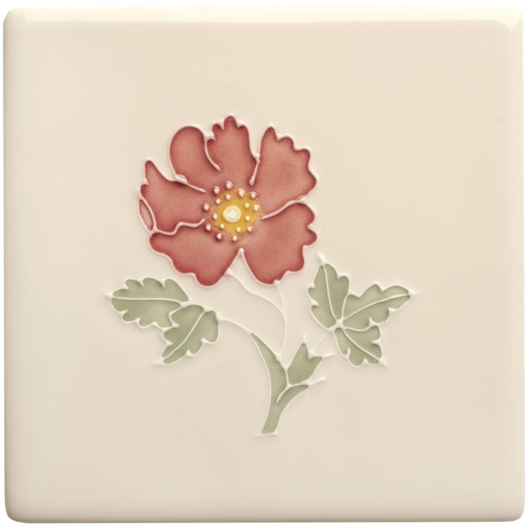 Dog Rose 127 x 127 x 10