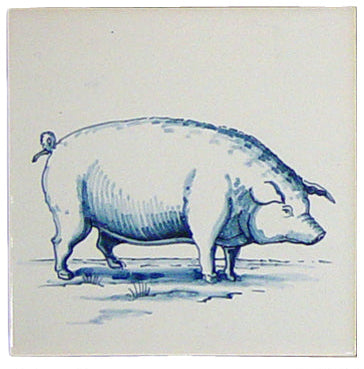 Varken 1 Blauw (Dieren rond de boerderij) 130 x 130 x 8