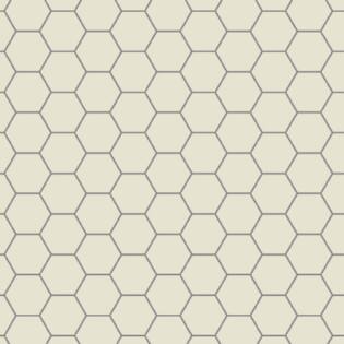 Winckelmans Hexagon 100 mm (op net 293 x 303 x 9)