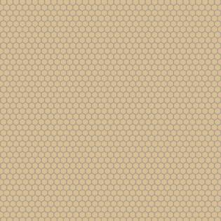Winckelmans Hexagon 25 mm (op net 295 x 280 x 3,8)