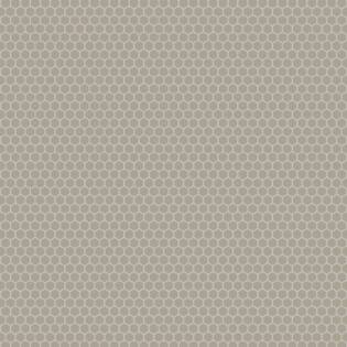 Winckelmans Hexagon 25 mm (op net 295 x 280 x 3,8)