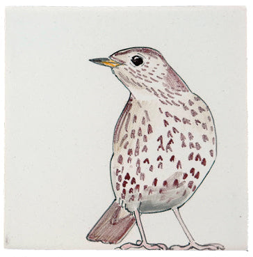 Tuinvogel 8 - 130 x 130
