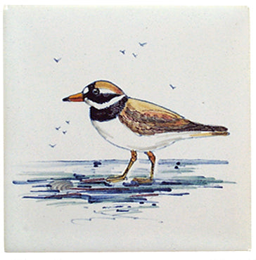 Watervogel 8 - 130 x 130