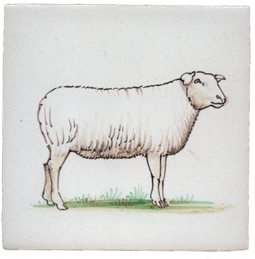 Schaap (Dieren rond de boerderij) 130 x 130 x 8