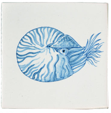 Nautilus 130 x 130