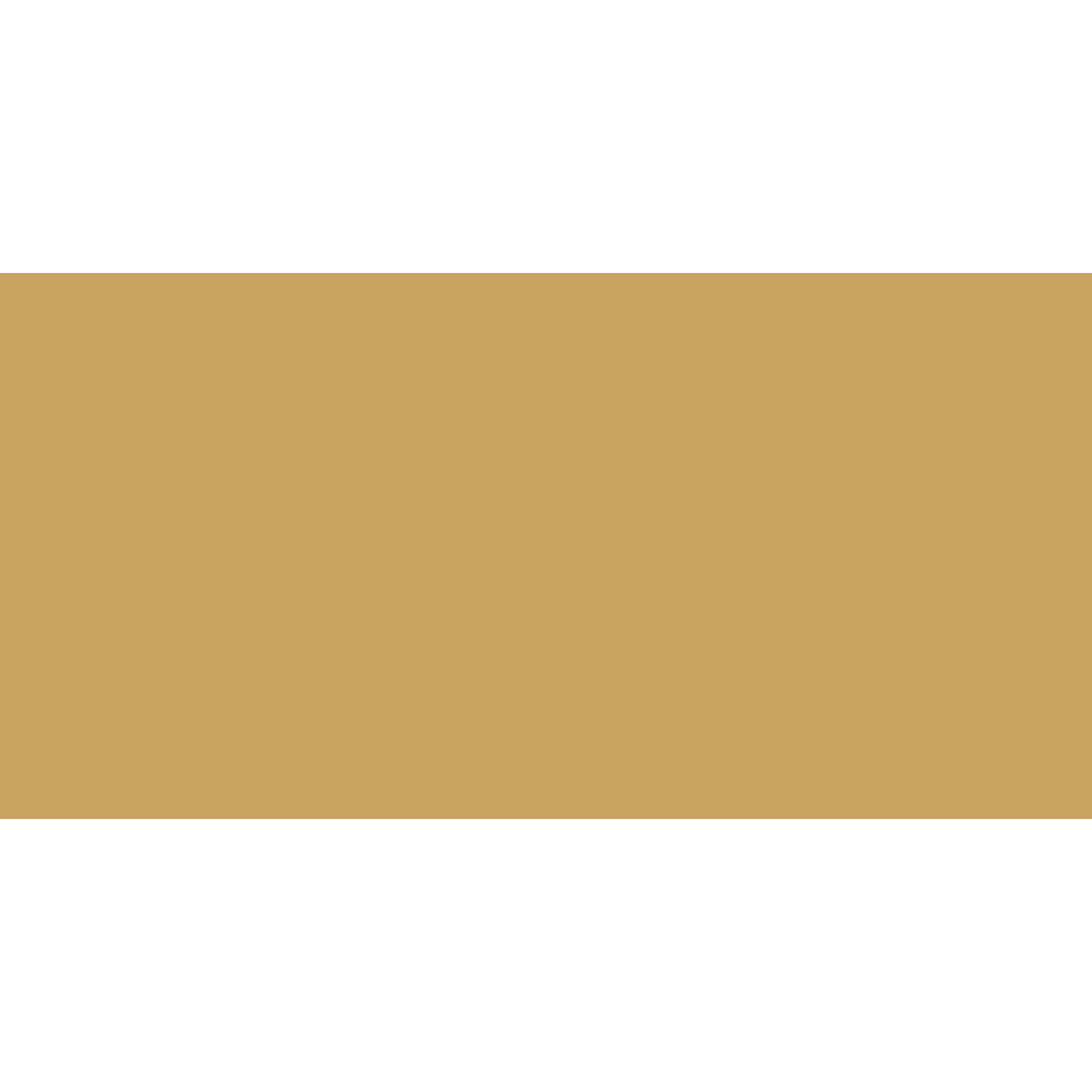 Winckelmans Rectangle 100 x 200