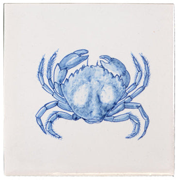 Kreeft 130 x 130