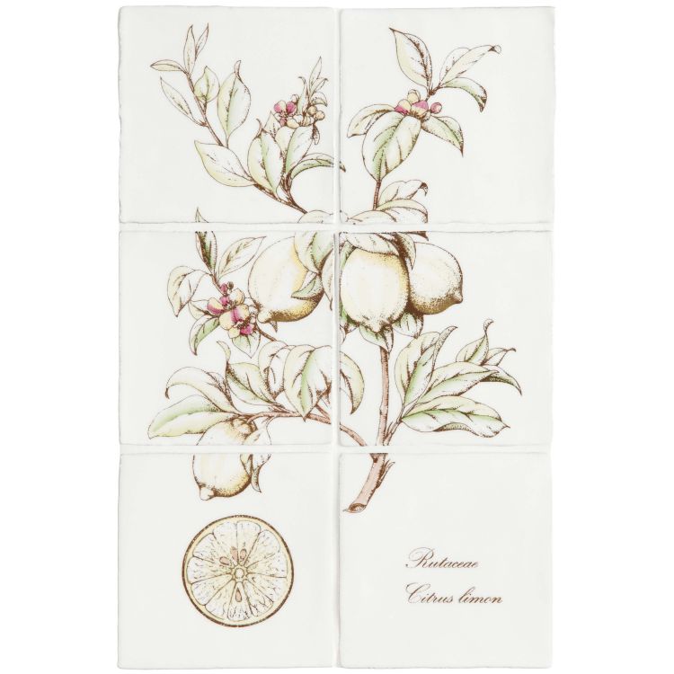 Lemon 6 Tile Panel