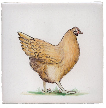 Kip (Dieren rond de boerderij) 130 x 130 x 8