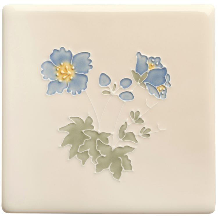 Meadow Cranesbill 127 x 127 x 10