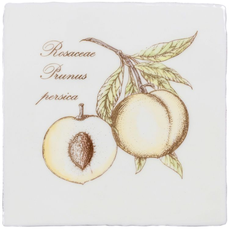 Peach 130 x 130