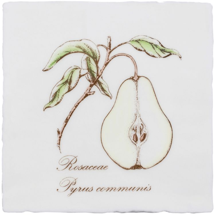 Pear 130 x 130