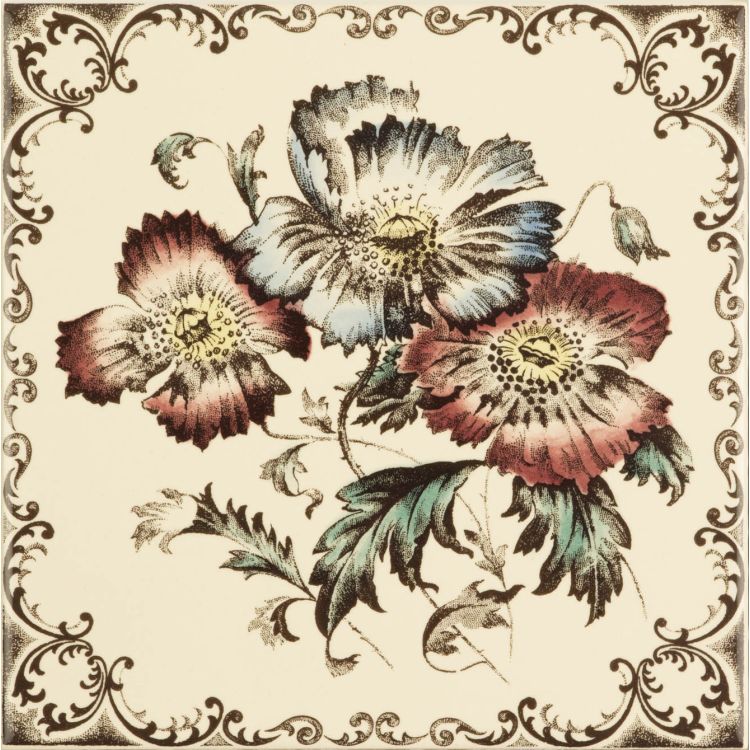 Poppies 152 x 152
