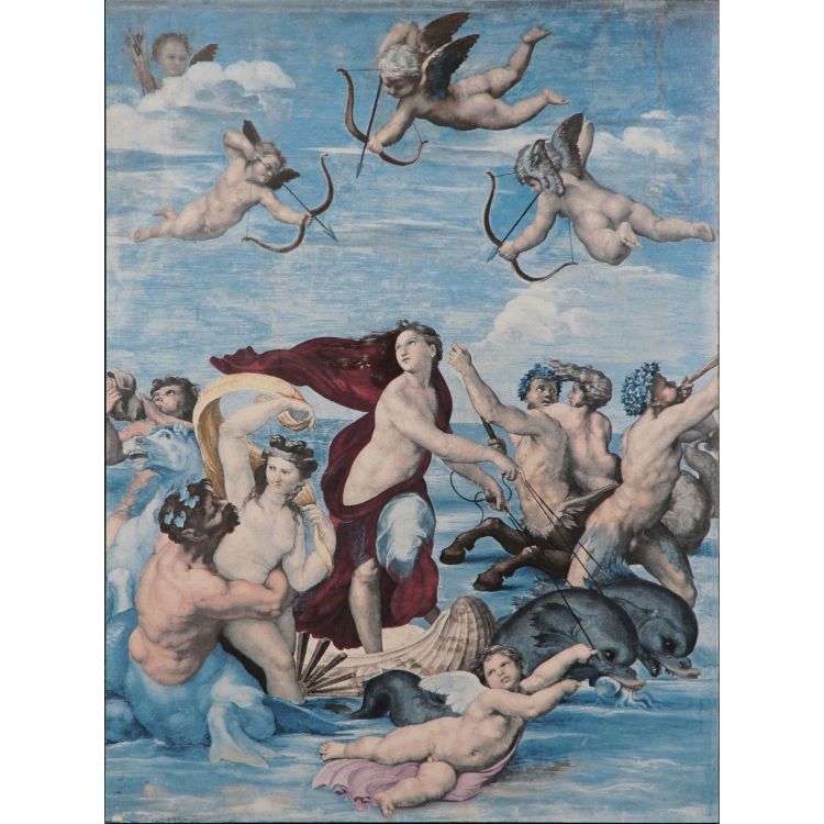 Raphael Galatea 560 x 420