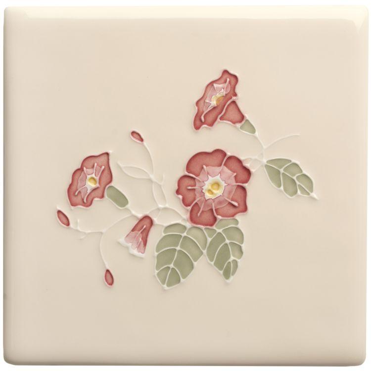 Sea Bindweed 127 x 127 x 10
