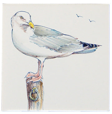 Meeuw 4 - 130 x 130