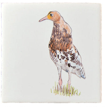 Weidevogels 3 - 130 x 130