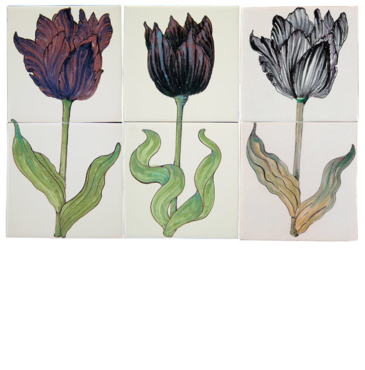 Zwarte Tulpen 260 x 390 x 8