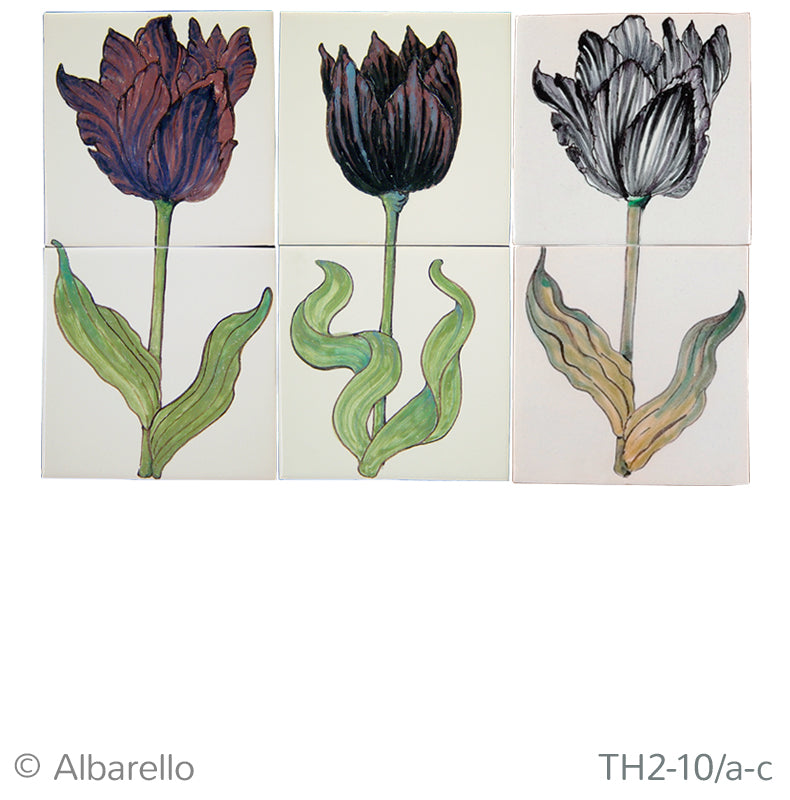Zwarte Tulpen 260 x 390 x 8