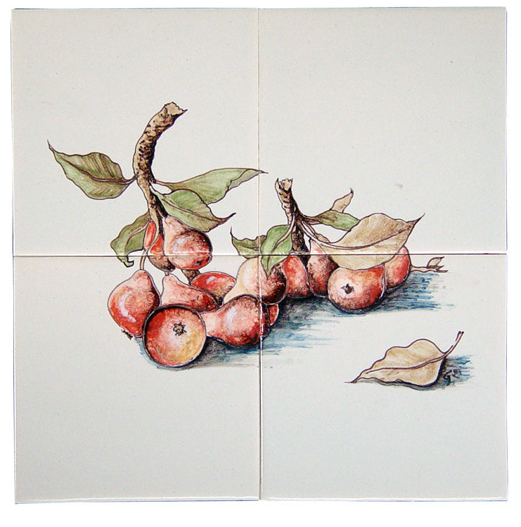 Stoofpeertjes 260 x 260 x 8