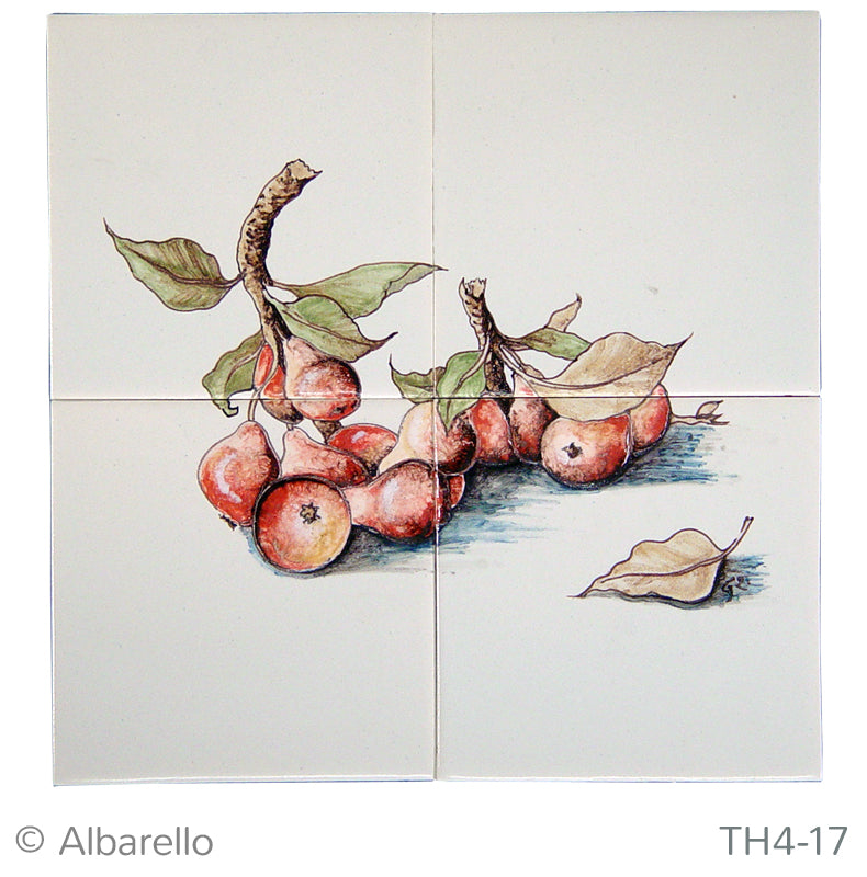 Stoofpeertjes 260 x 260 x 8