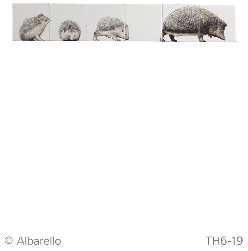 Volwassen Egel met Jongen 130 x 780 x 8