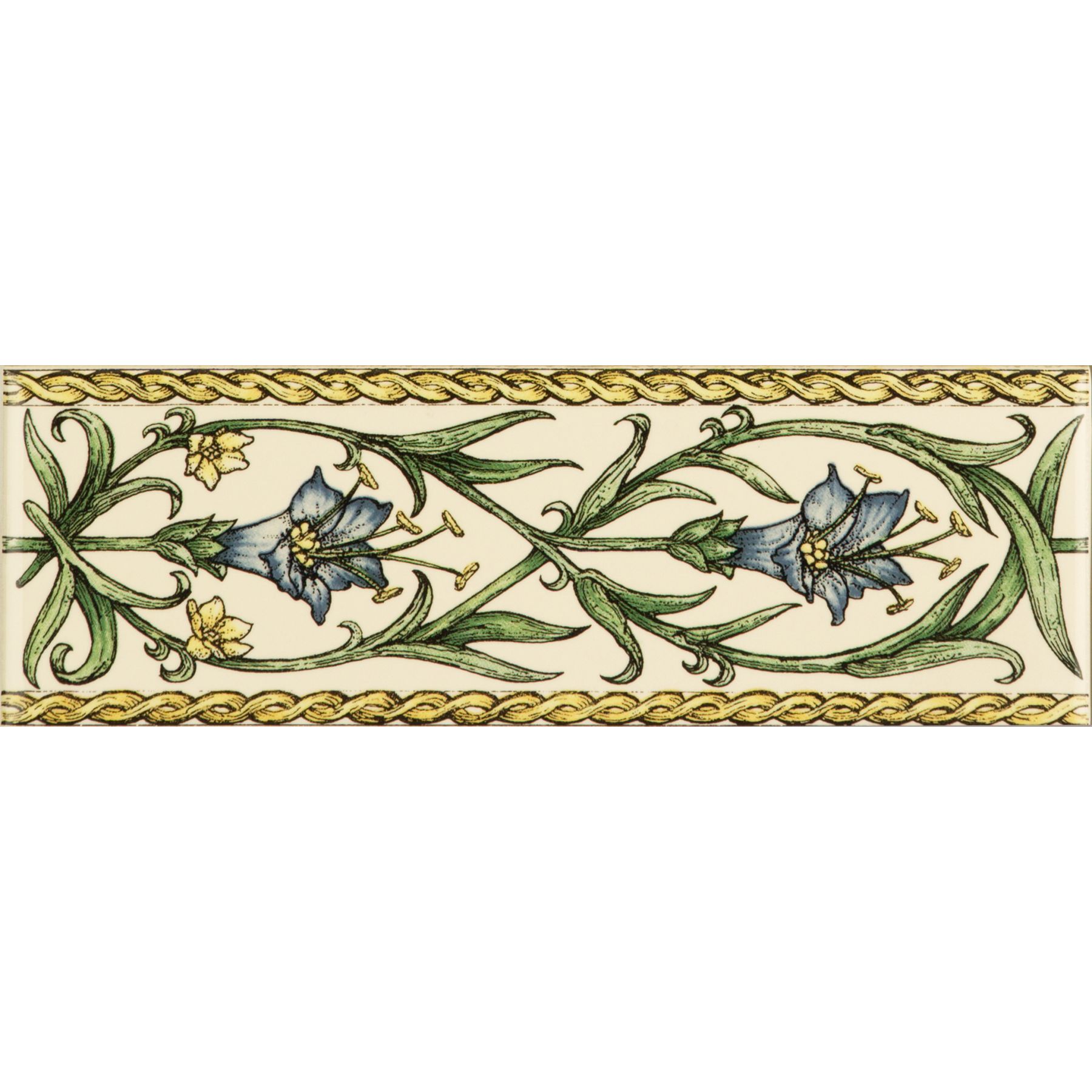 Trumpet Gentian Blue 152 x 50